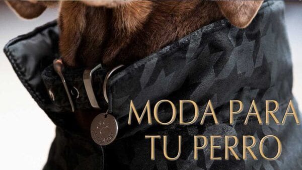 productos y moda para mascotas iberianhorseshop