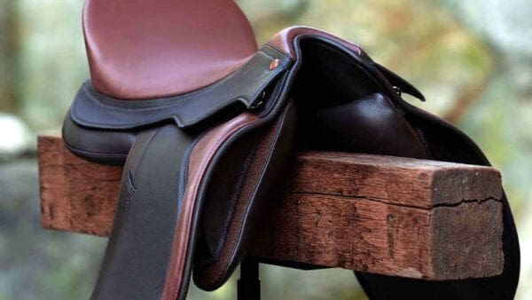 SIGNUM SADDLE EL TORRO IBERIANHORSESHOP