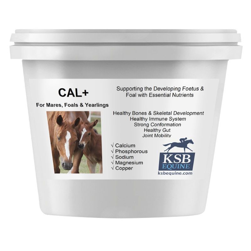 CAL +