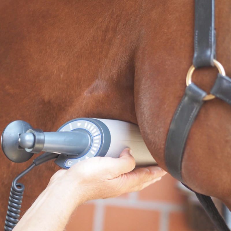 Equissage Pulse Hand Unit