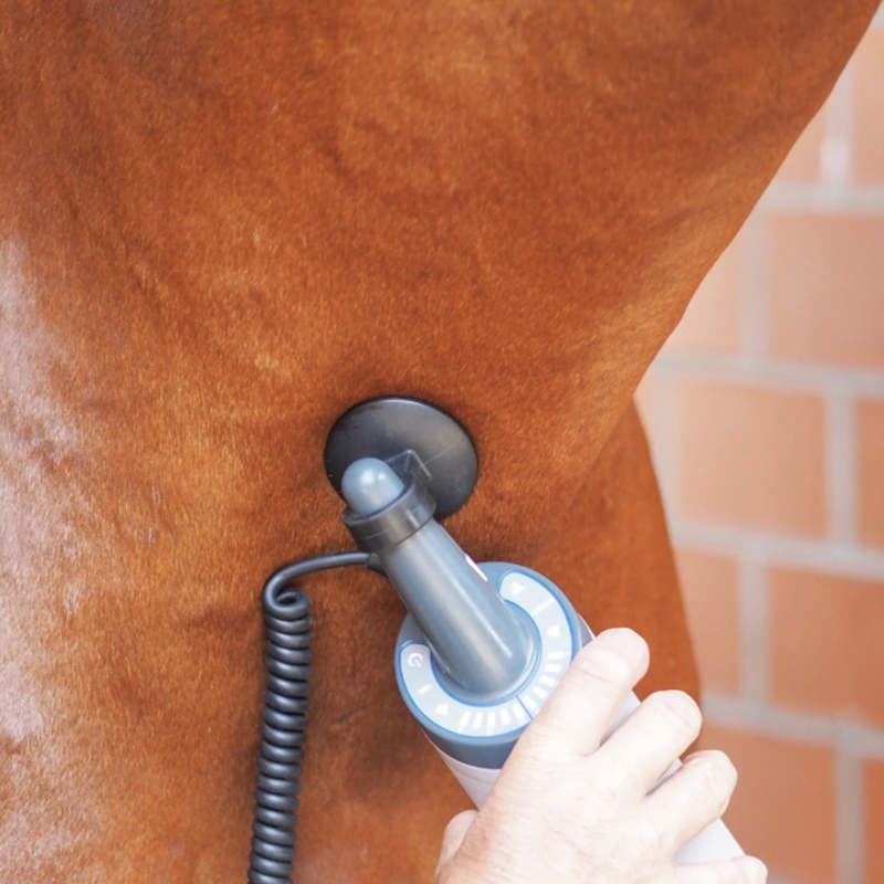 Equissage Pulse Hand Unit