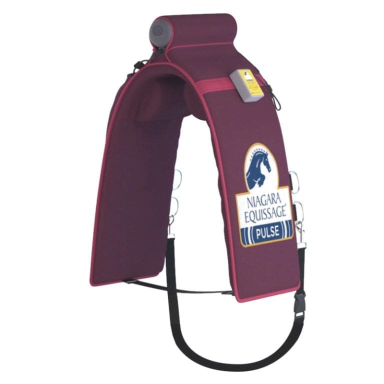 Equissage Pulse Pad