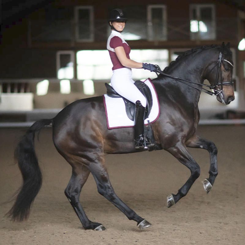 Dressage Saddle Pad White Perfection Bordeaux