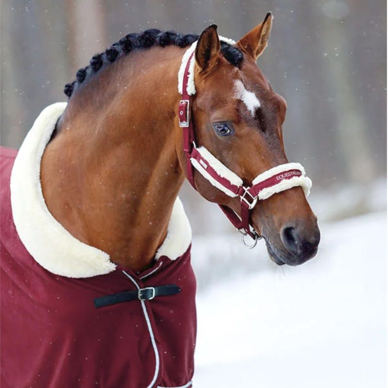 Fur Halter & Lead Rope Bordeaux