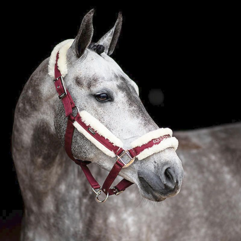 Fur Halter & Lead Rope Bordeaux