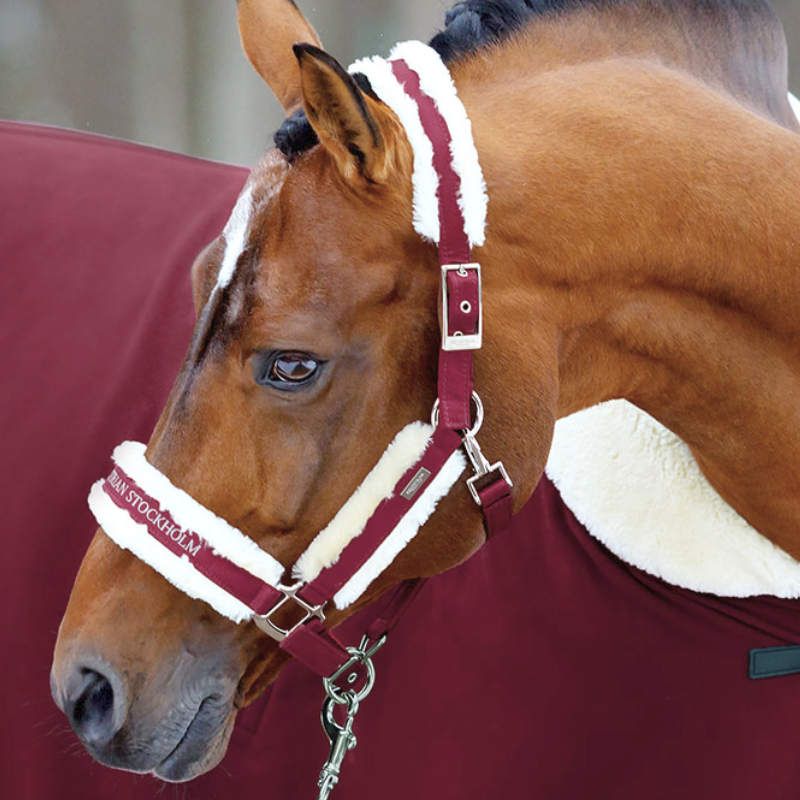 Fur Halter & Lead Rope Bordeaux