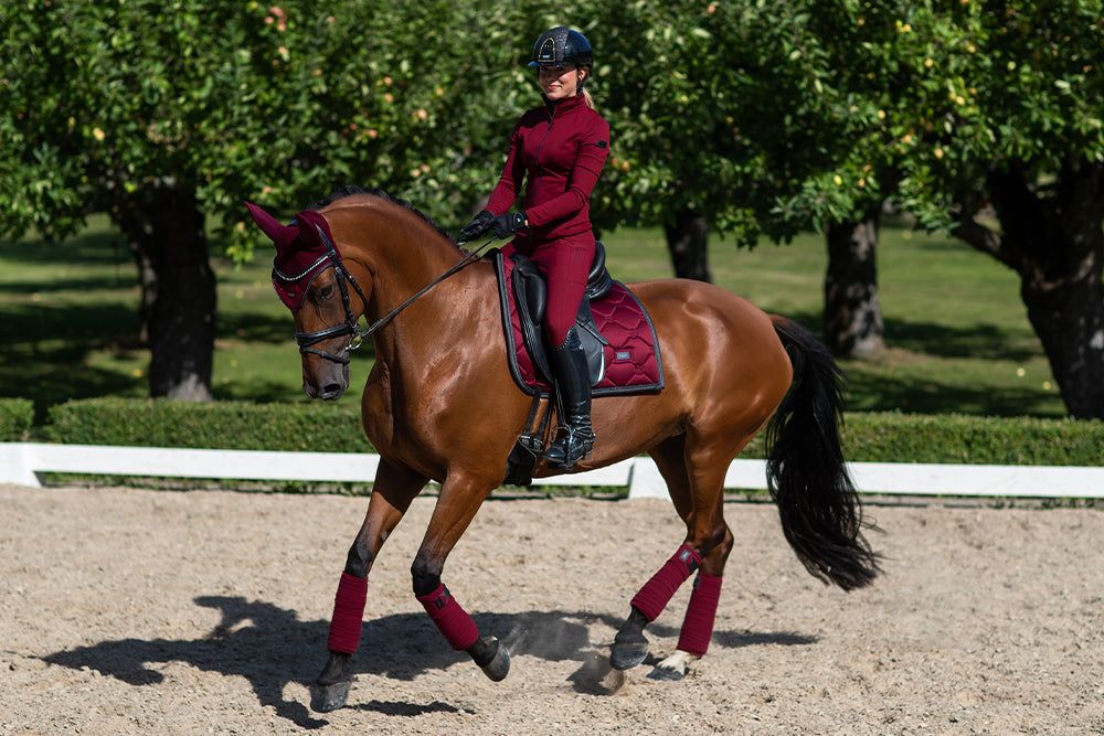 Riding Breeches Dressage Elite Bordeaux
