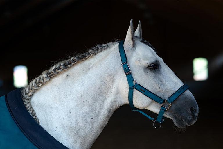 Cabezada con ramal Halter & Lead Rope Aurora Blues Talla Pony