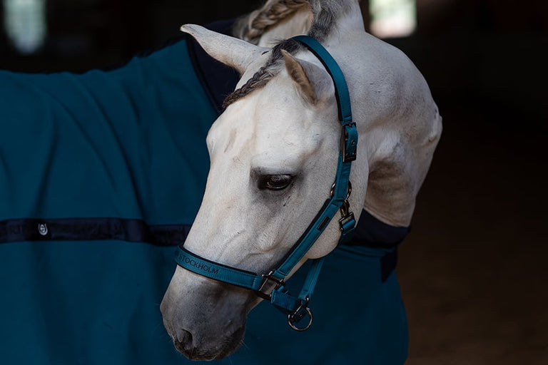 Cabezada con ramal Halter & Lead Rope Aurora Blues Talla Pony